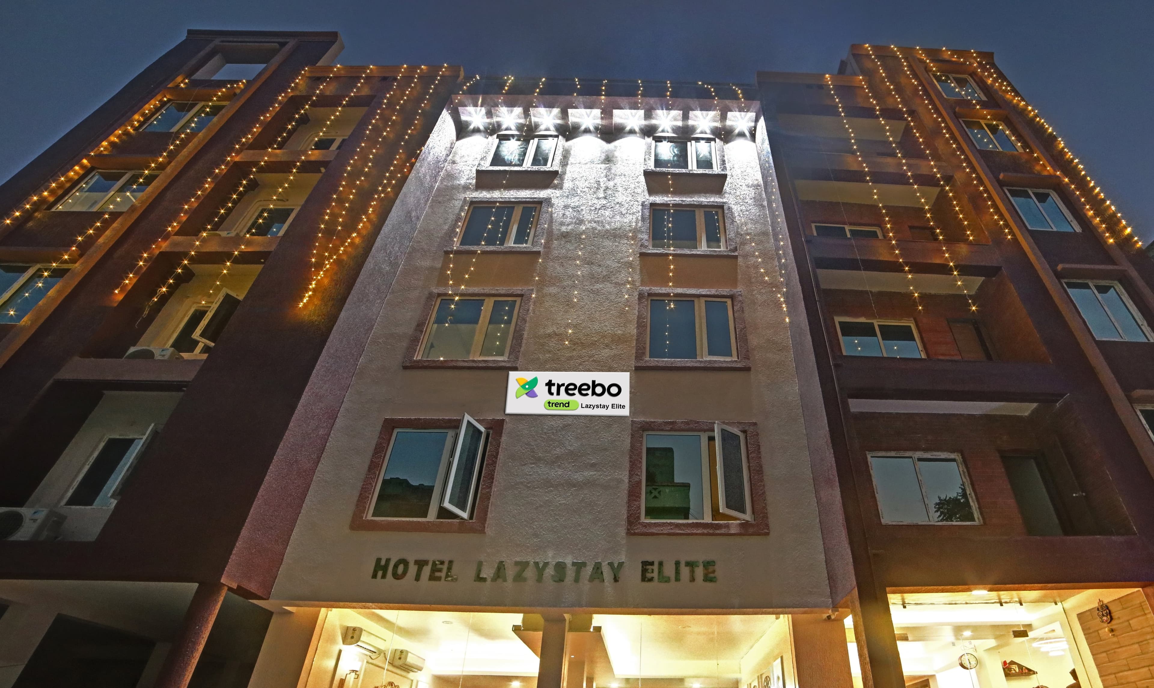 LazyStay Elite at night